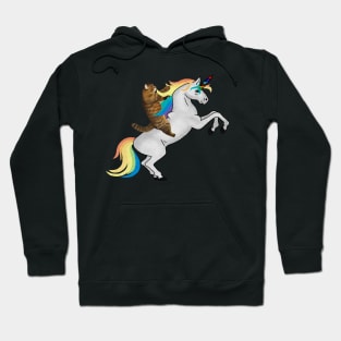 Funny Cat riding Unicorn, Love Unicorns Hoodie